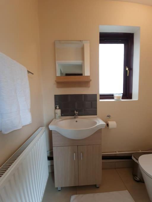 London Luxury 6 Bedroom Family House Sleeps 12 People Parking For 4 Cars Close To Tube. 齐格威尔 外观 照片
