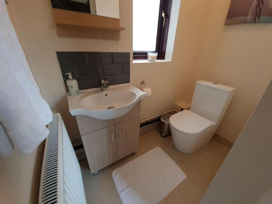 London Luxury 6 Bedroom Family House Sleeps 12 People Parking For 4 Cars Close To Tube. 齐格威尔 外观 照片